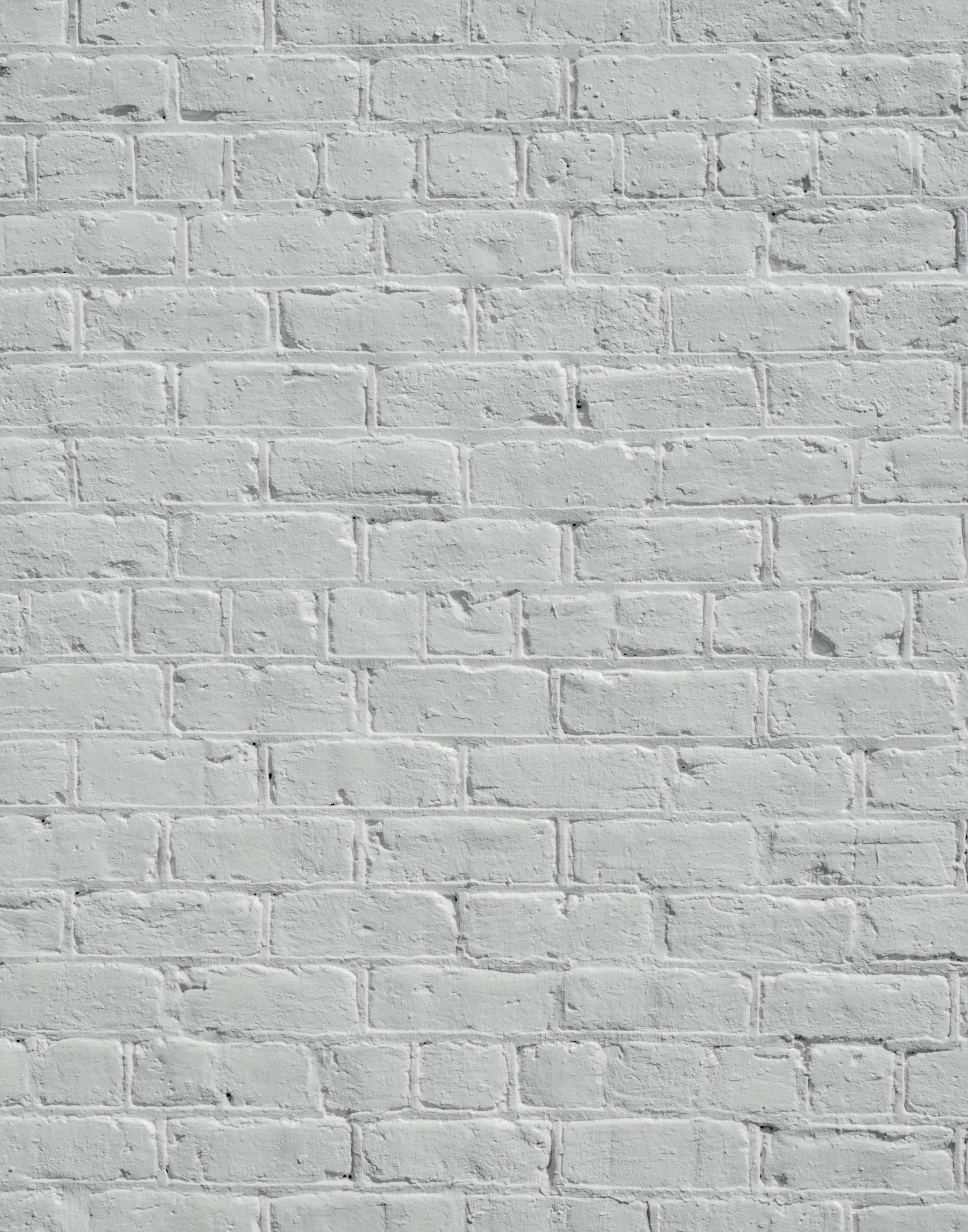 White Wall Background Wallpaper