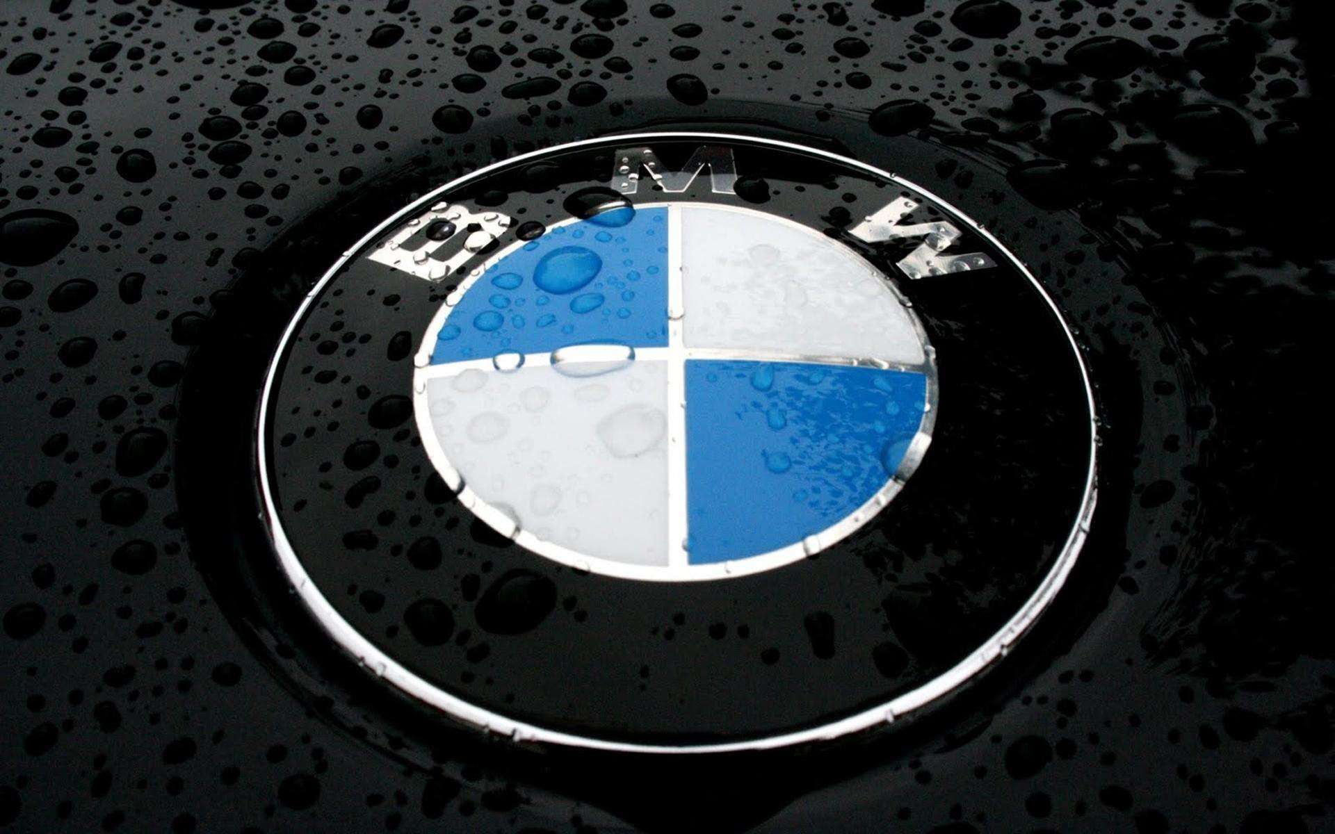 Bmw Logo Wallpaper Pictures Image