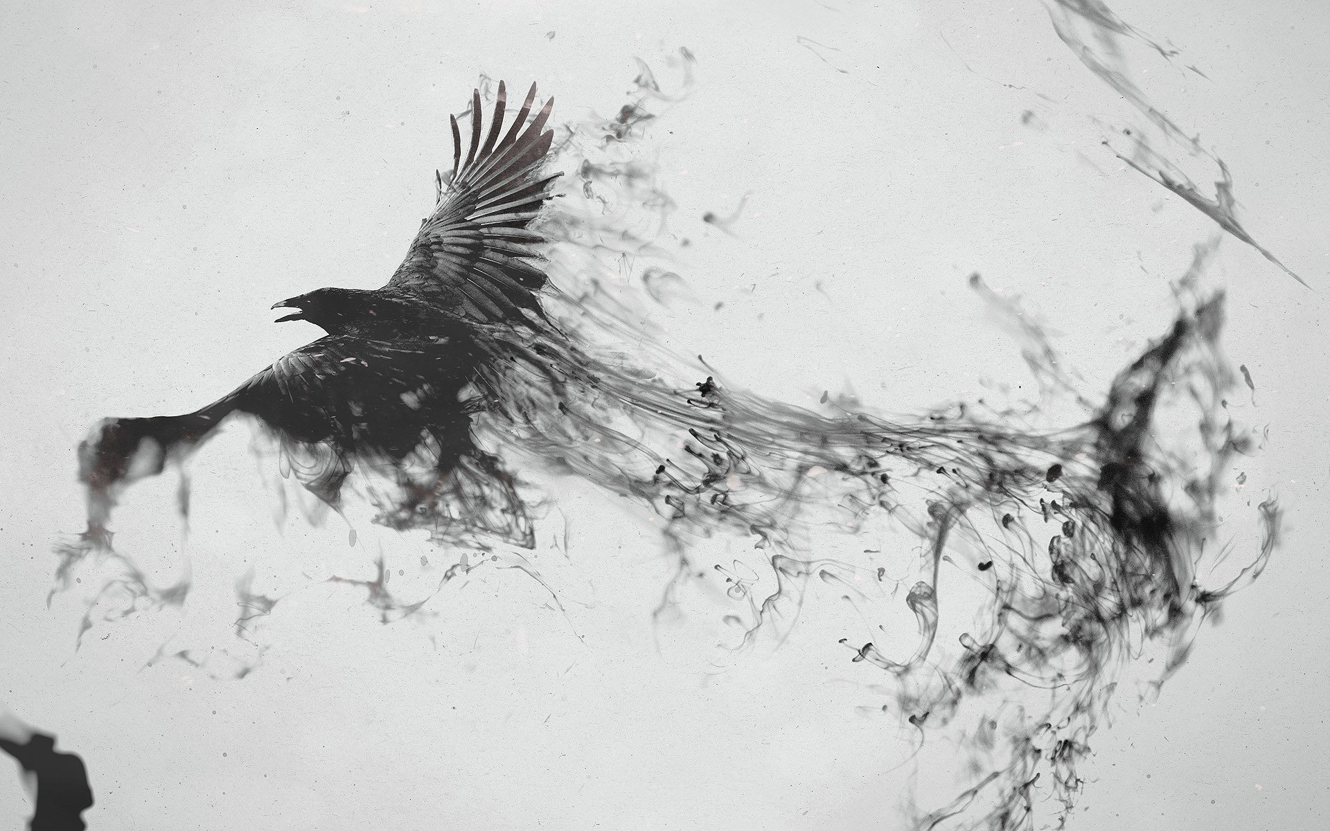 raven flying up black water art fulls creen 1920x1200