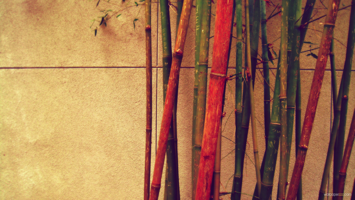Colored Bamboo HD Wallpaper