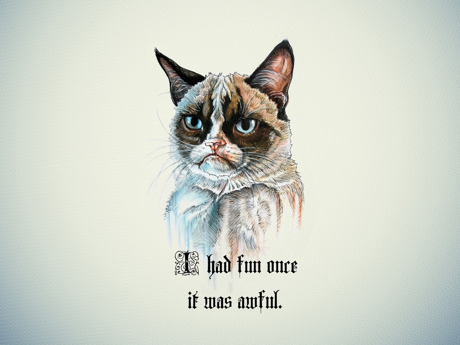 Grumpy Cat HD Wallpaper I Had Fun Once It Was Awful