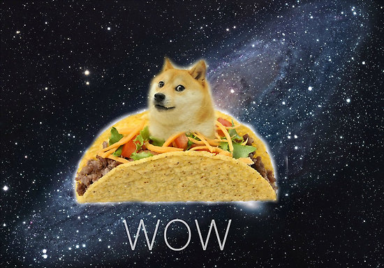 Oh Wow so Doge The Meme of the Day