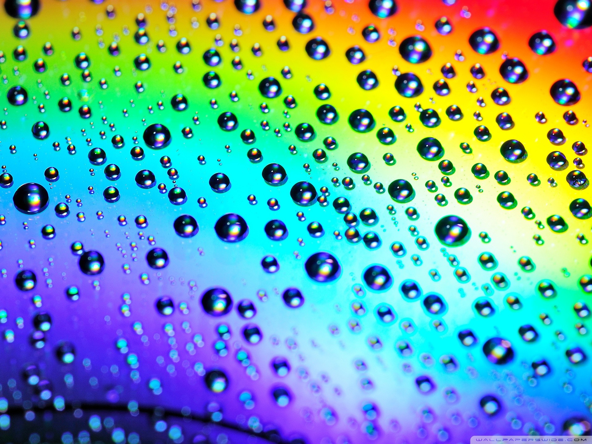 Close-up of water droplets on a rainbow-colored surface, creating a vibrant and abstract pattern