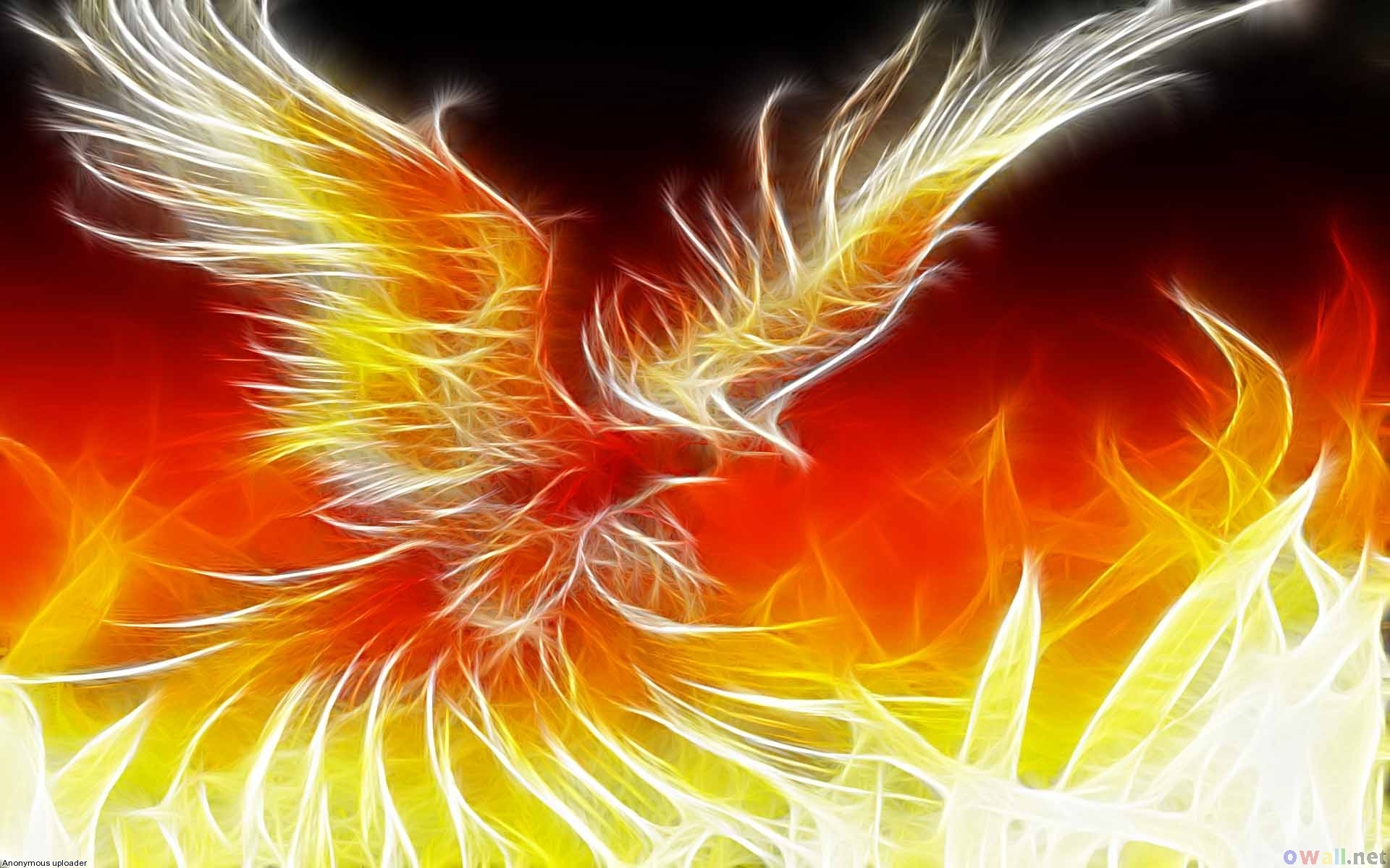 Picture Phoenix Bird For Desktop