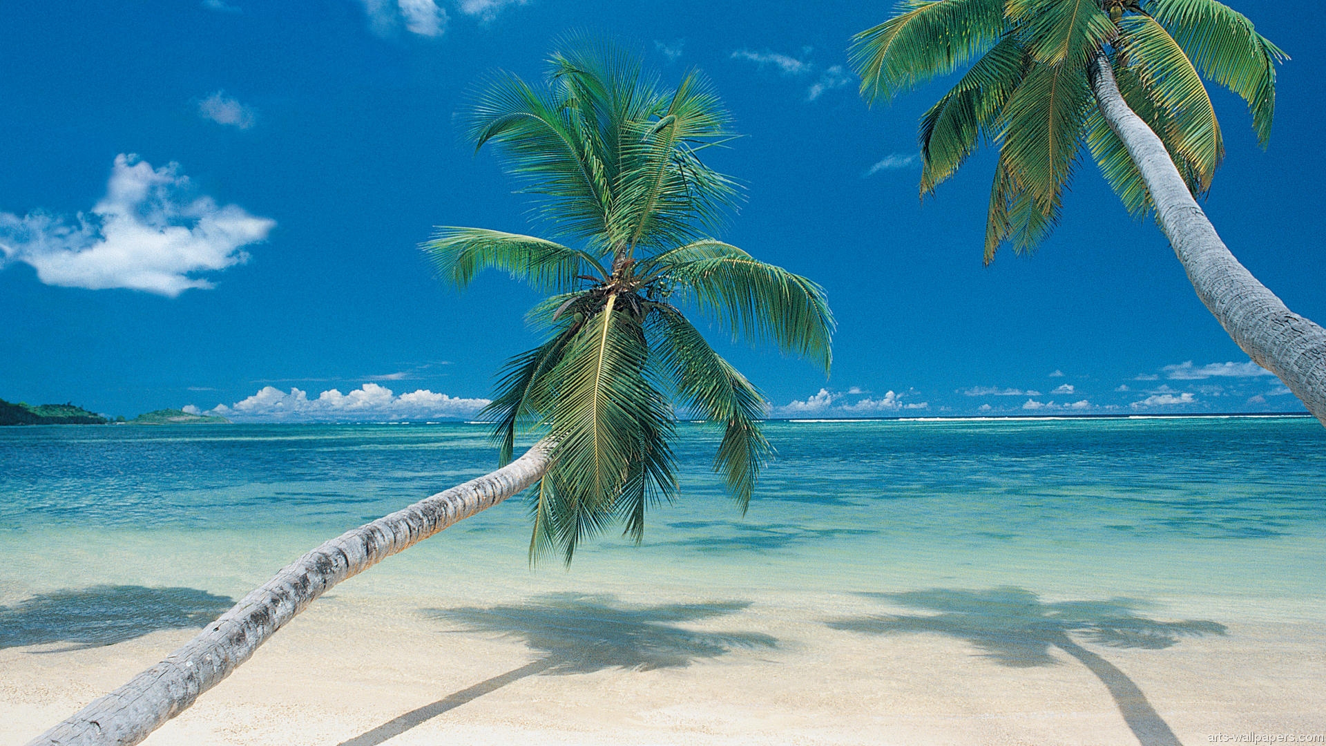 Tropical Paradise Wallpaper Hawaii Maldives Tahiti Islands Beach