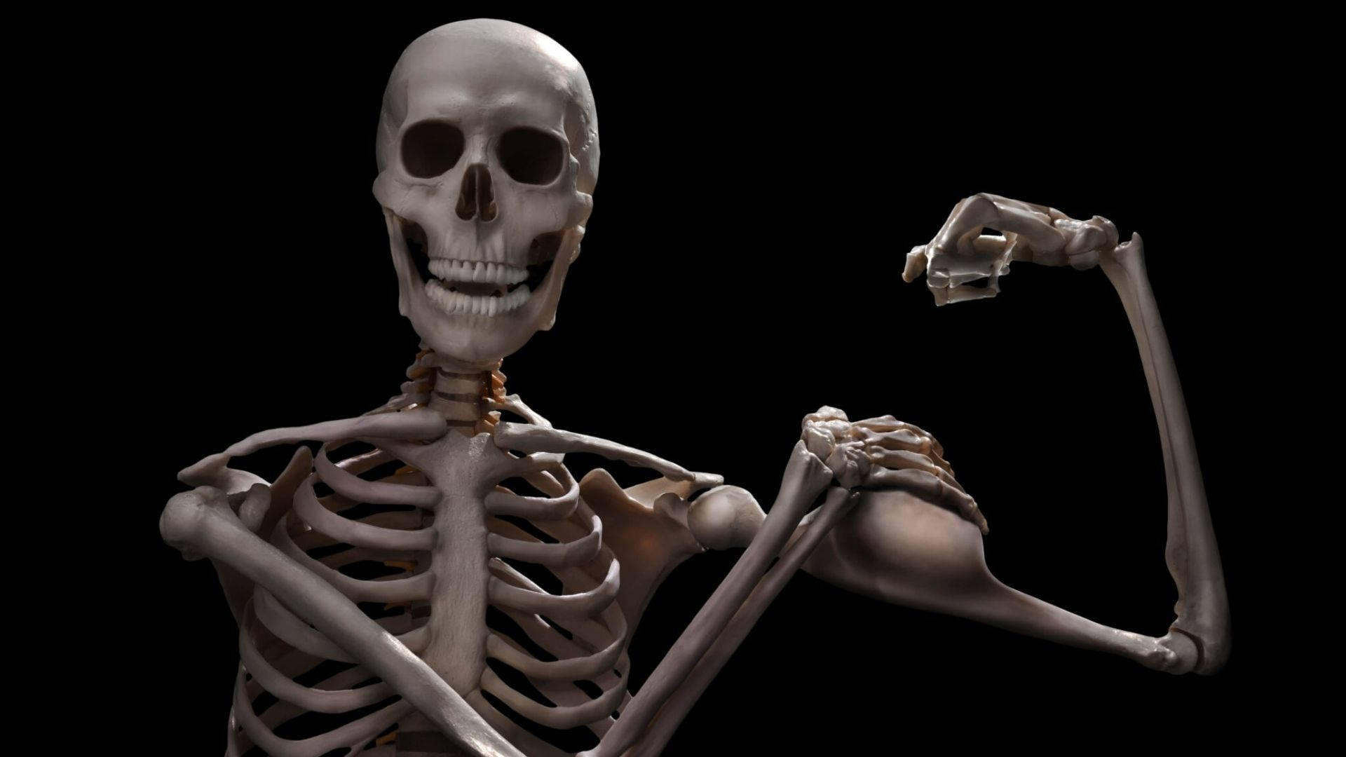 Skeleton Meme Background Wallpaper