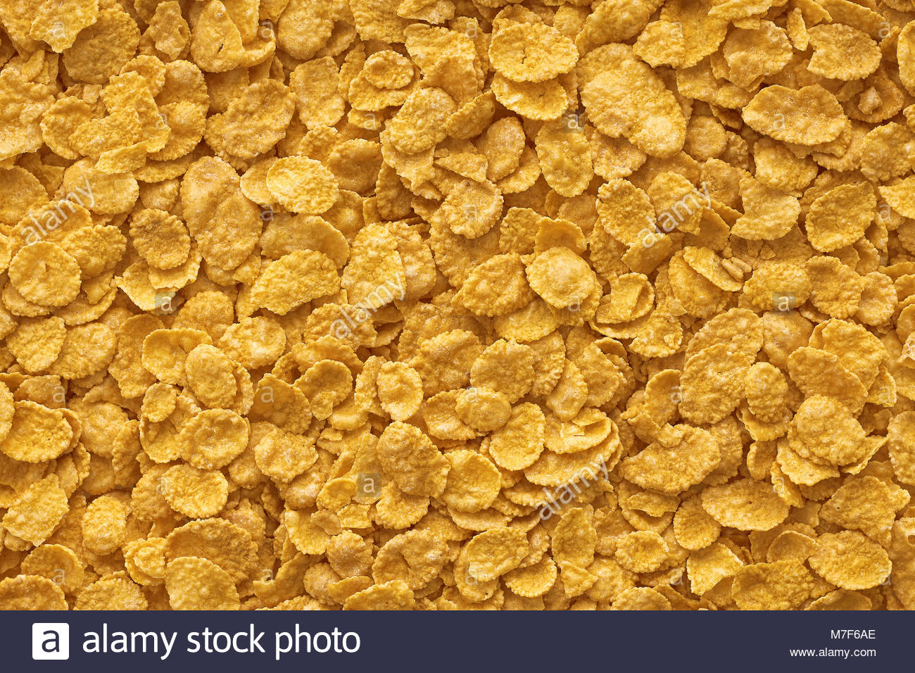 Cereal Cornflake White Background Stock Photos