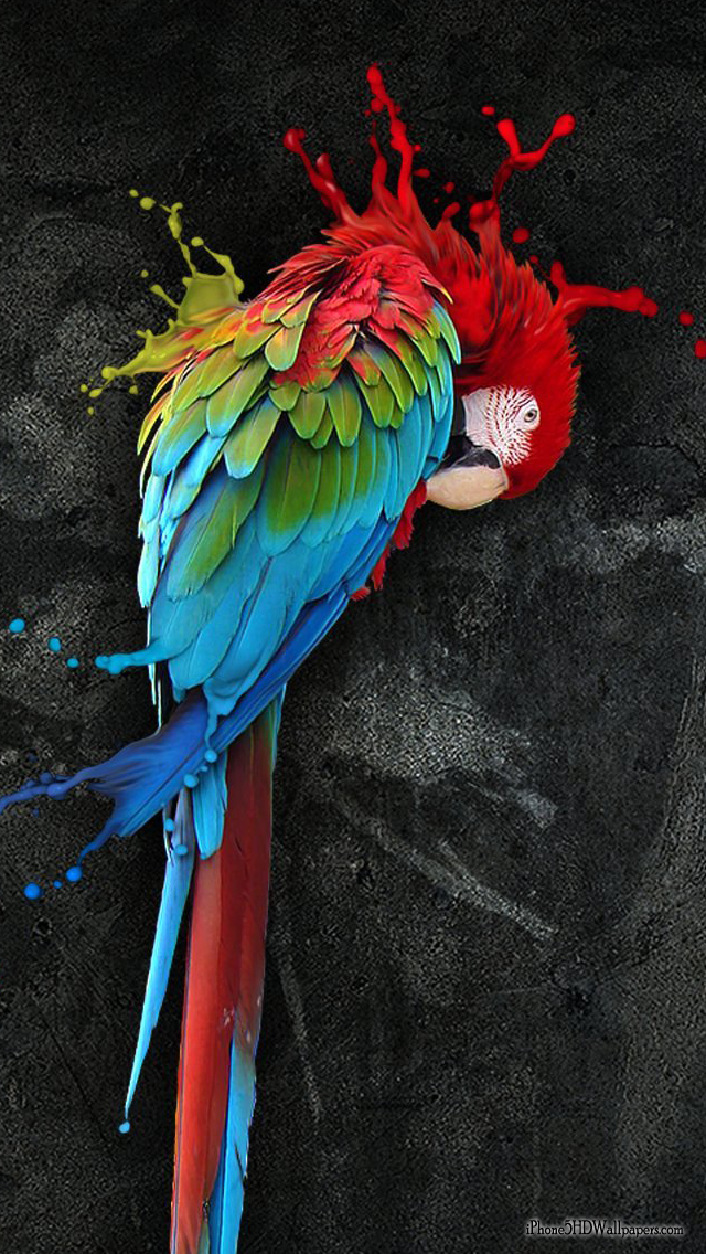 iPhone Wallpaper Dead Parrot HD