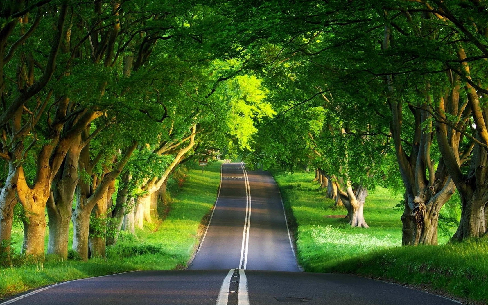 Landscape Country Road Wallpaper