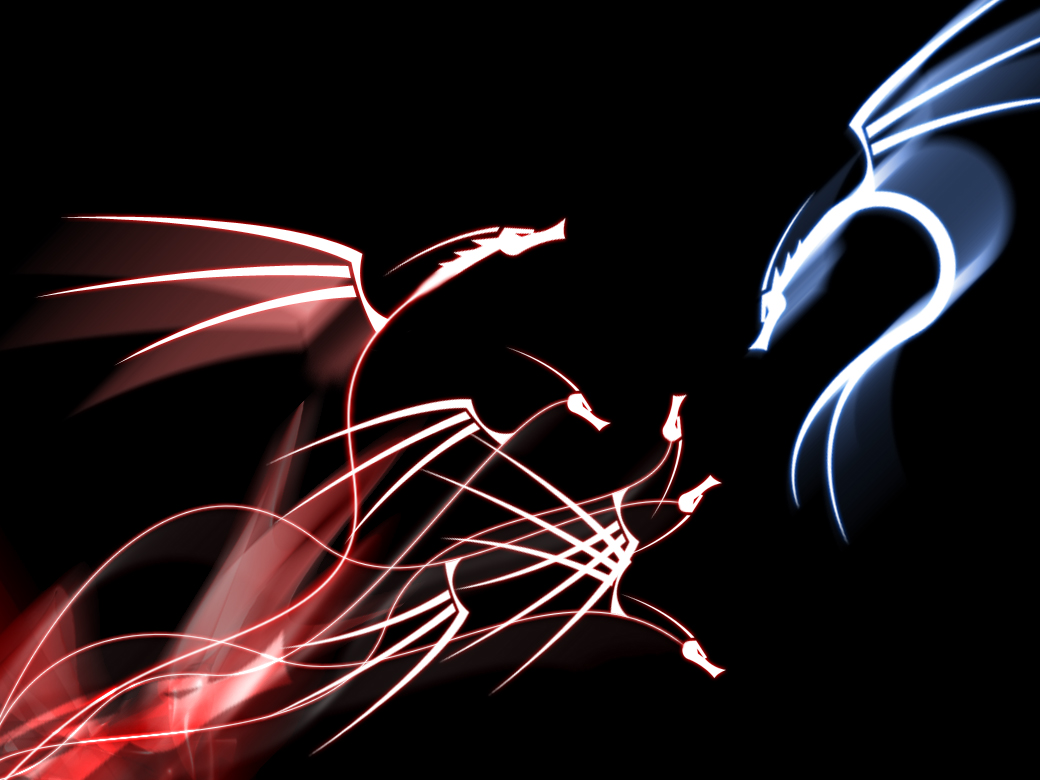 Red and Blue Dragons in Abstract Form on a Black Background