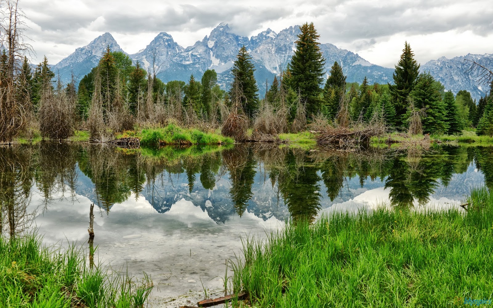 Mountains Forest Lake Wallpaper