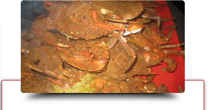 Dungeness Crab Wallpaper