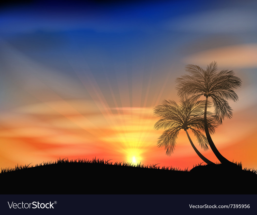 Sunset Background With Palm Tree Royalty Vector Image