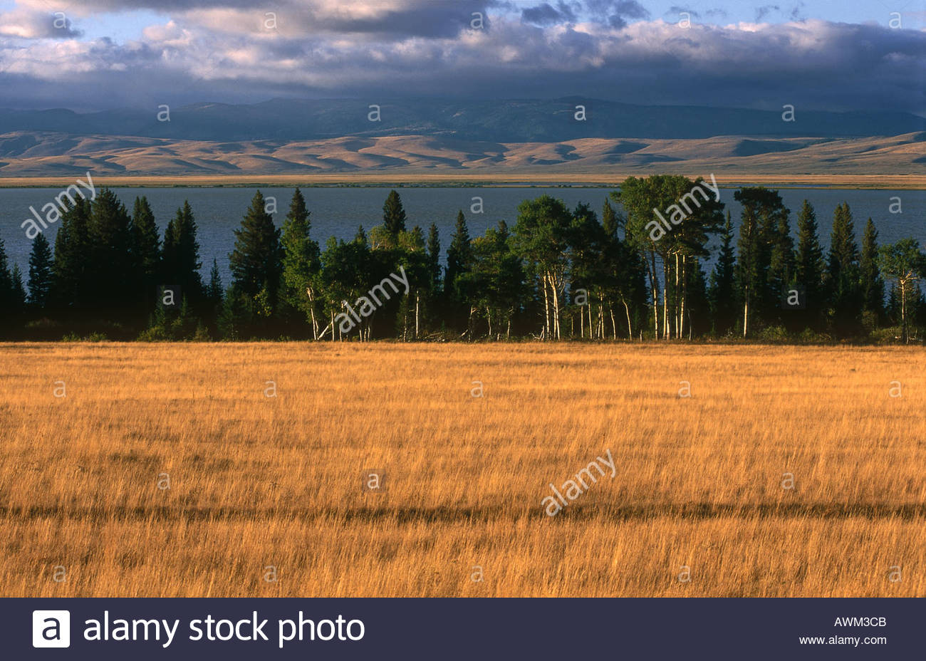 Grassy Field With Lake In Background Red Rock Centennial