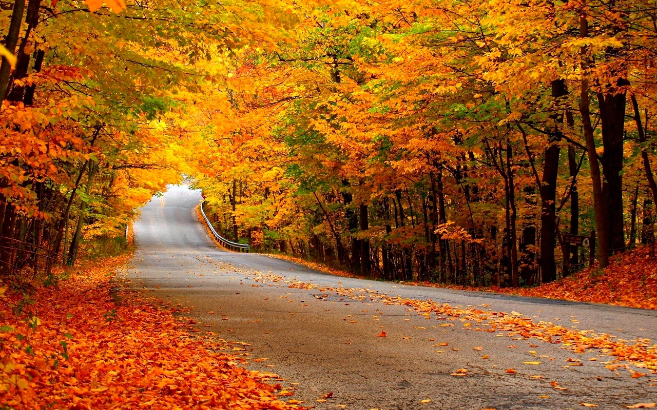 Wallpapers Collection Autumn Wallpapers