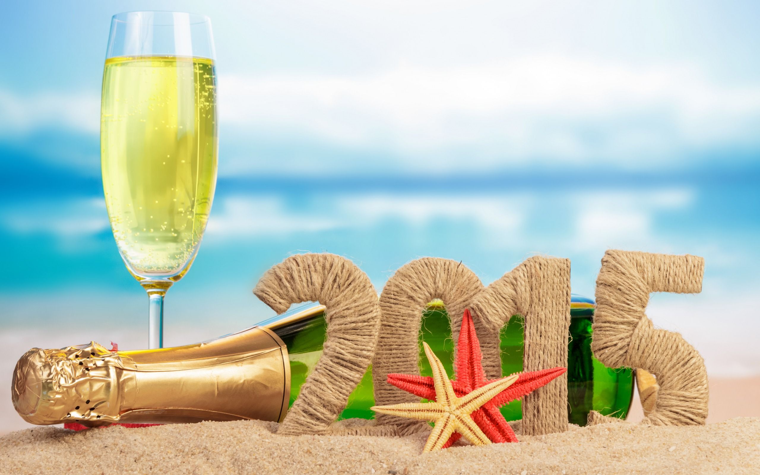 Holiday New Year Champagne