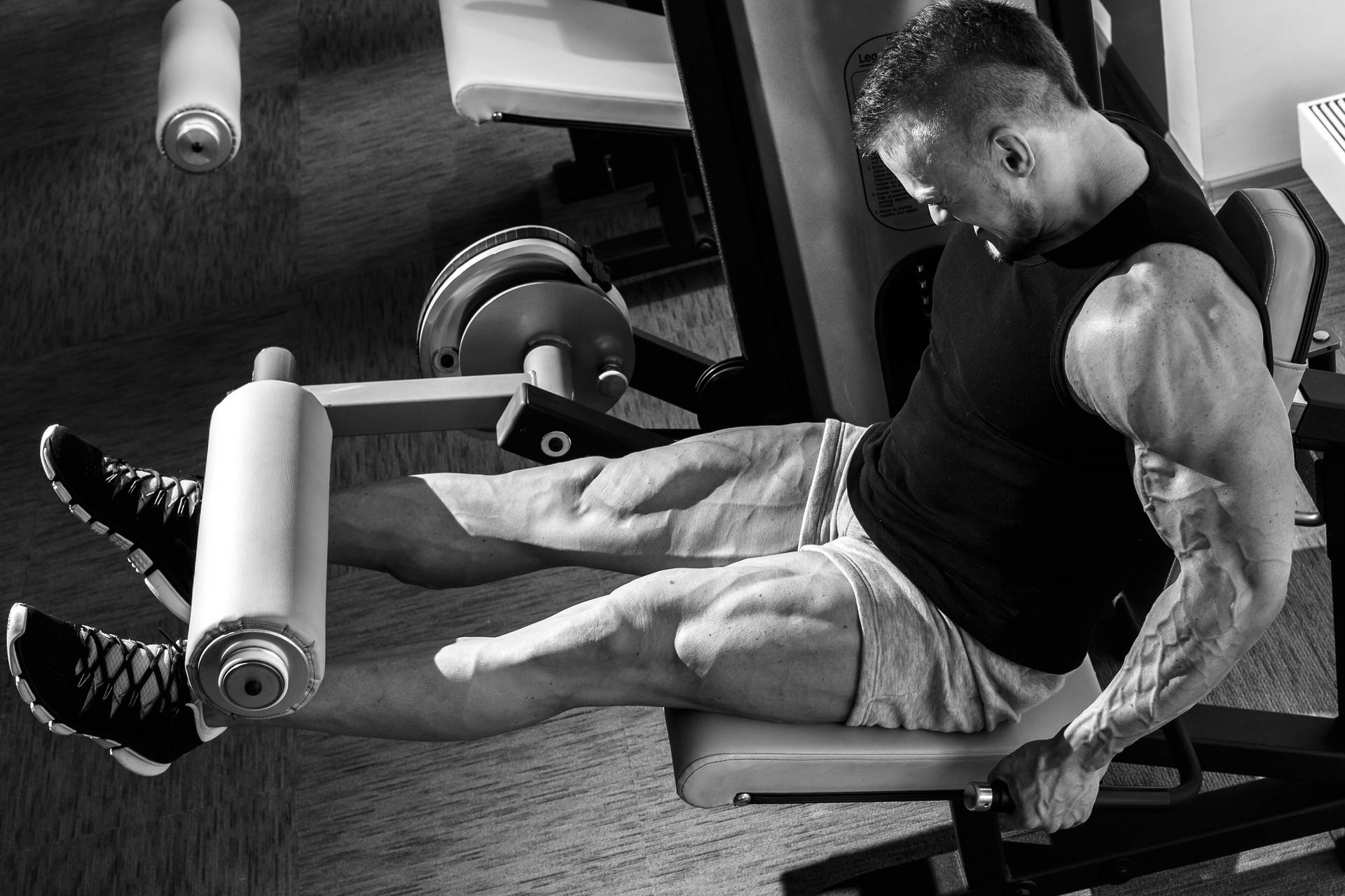Bodybuilders HD Wallpaper