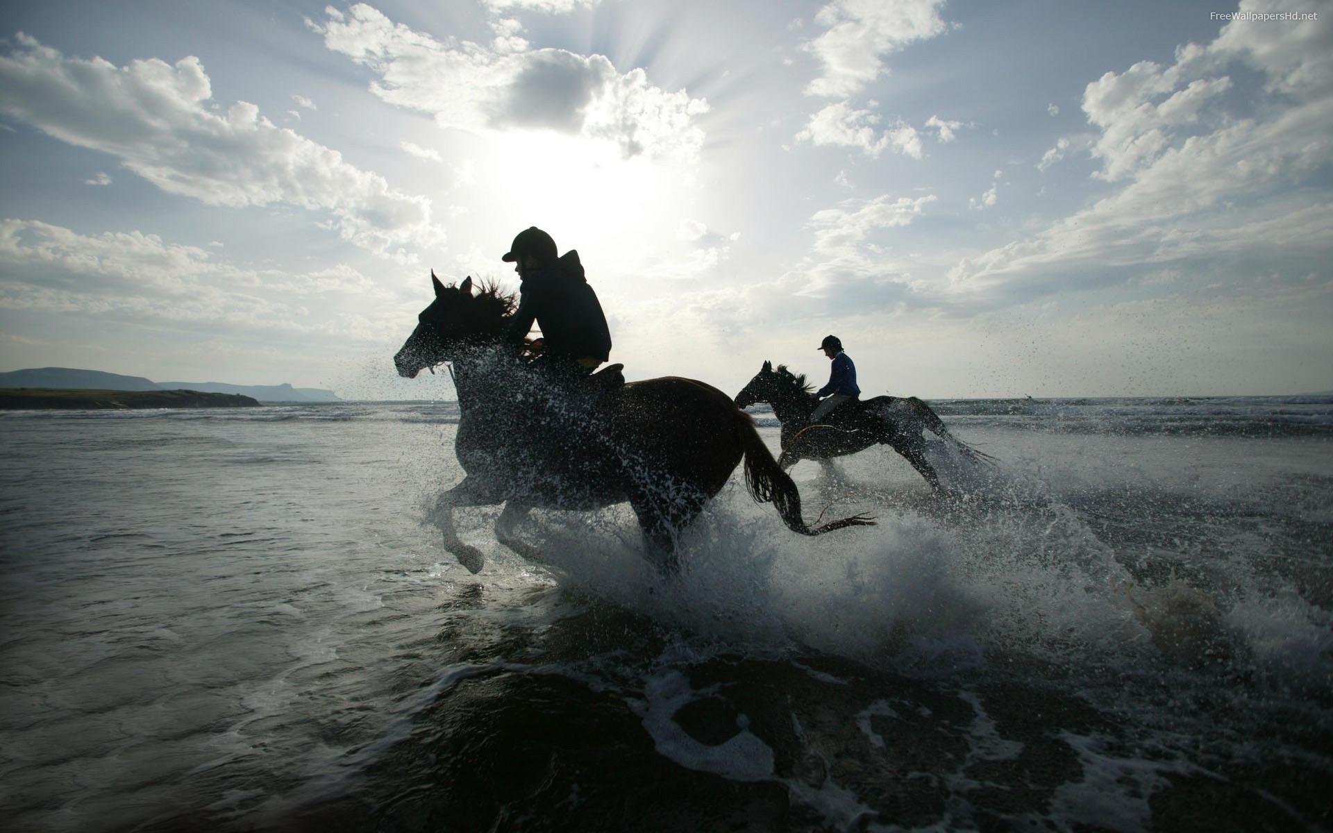 Pc Wallpaper Running Horses On The Beach Hq Background