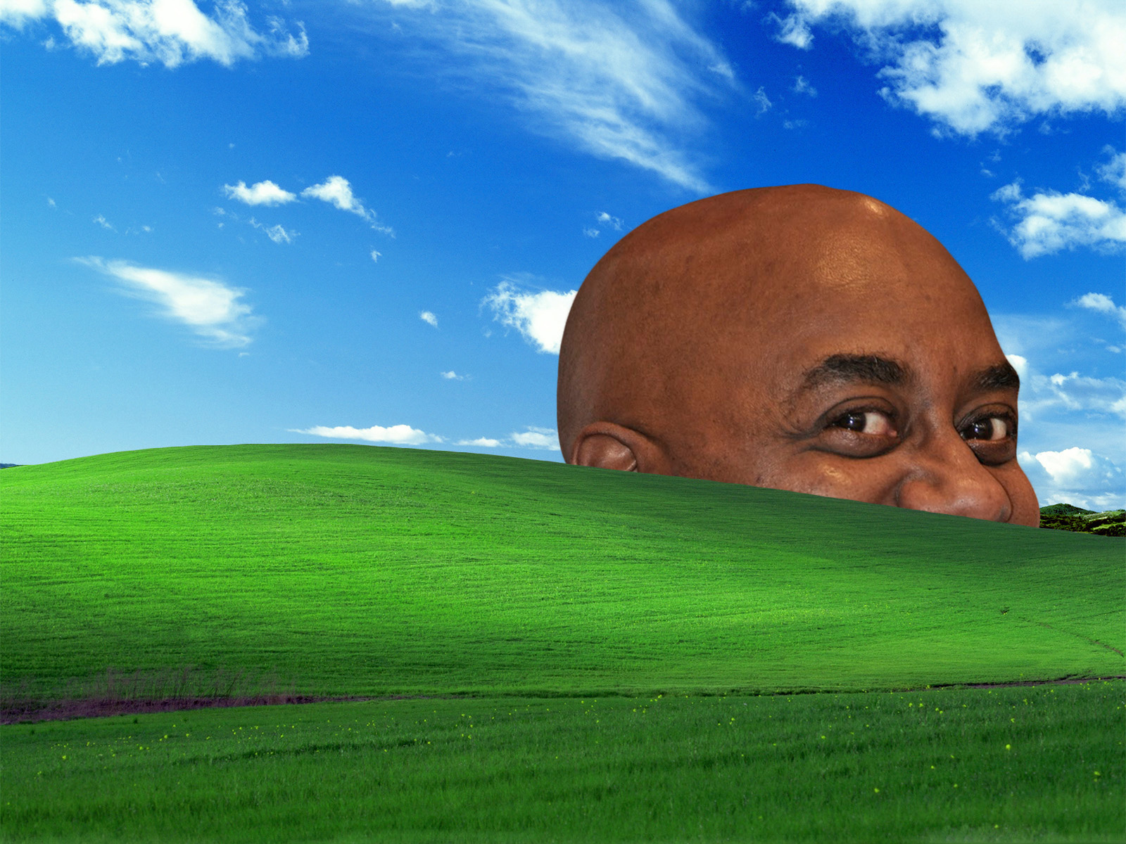 Ainsley Bliss Windows Xp Wallpaper Know Your Meme