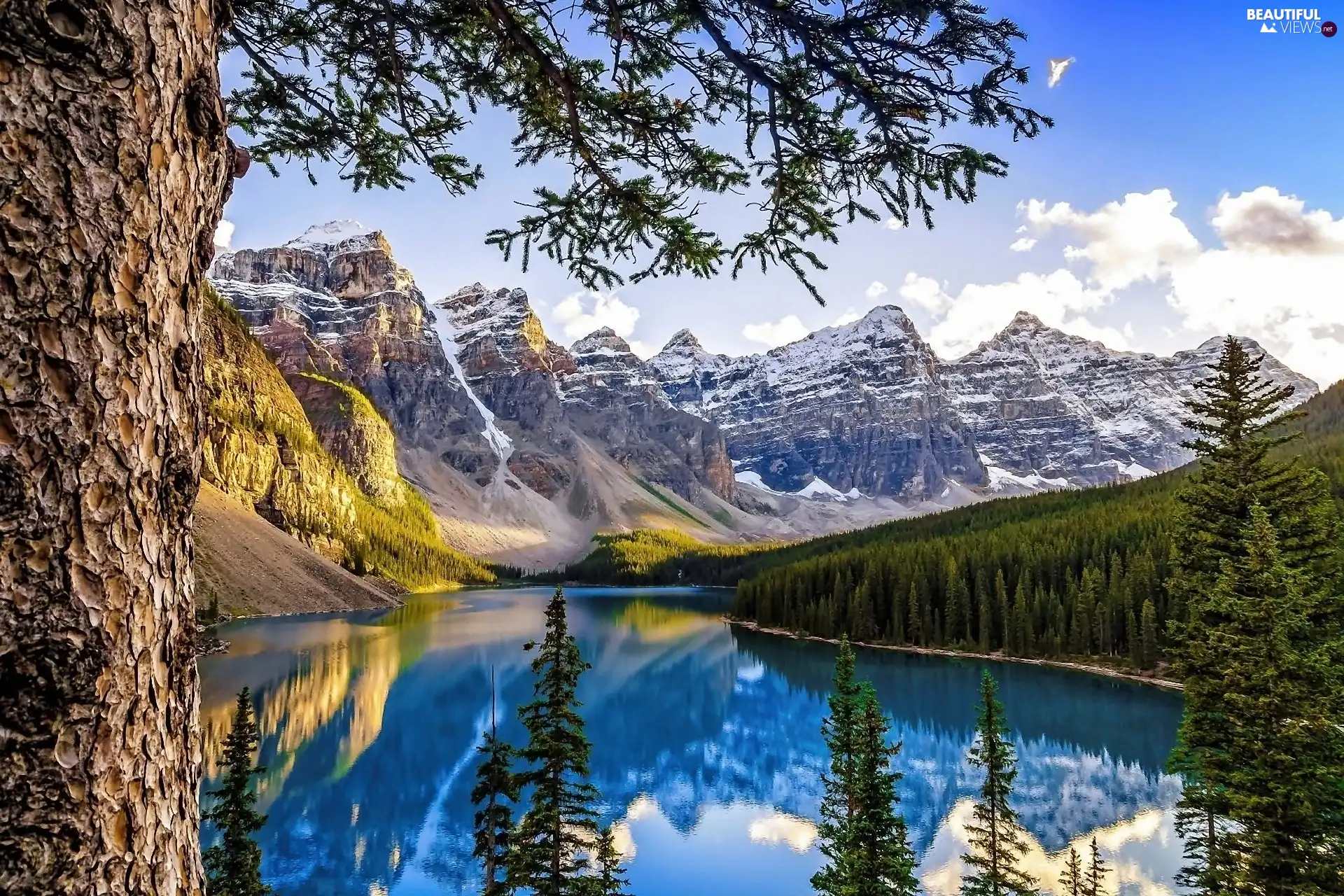 Alberta Canada Lake Forest Mountains Wallpaper