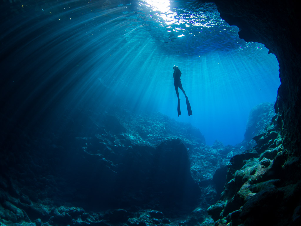 Gallery For gt Freediving Wallpaper