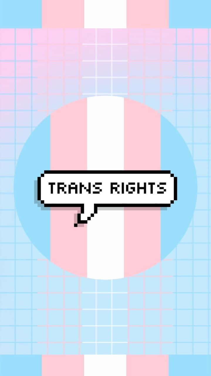 Celebrate Trans Pride Wallpaper
