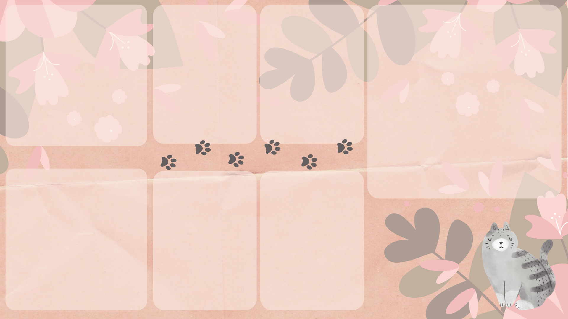 Wallpaper Organize Desktop Cute Cat