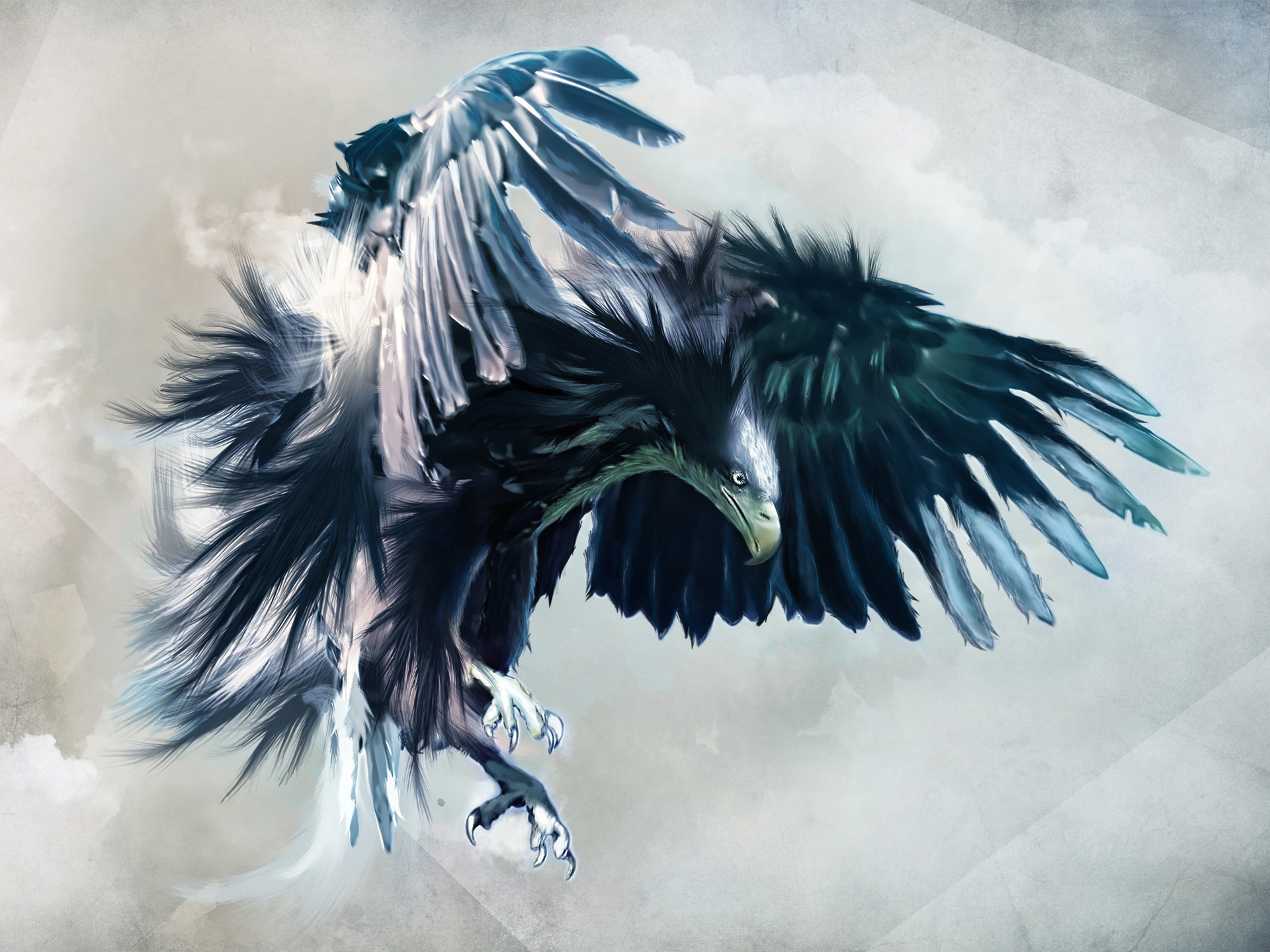 HD wallpaper eagle high resolution widescreen bird bird of prey bald  eagle  Wallpaper Flare