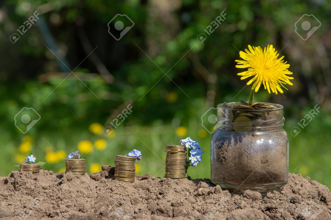 Piles Of Money And Flowers Saved Outdoor Background Stock Photo