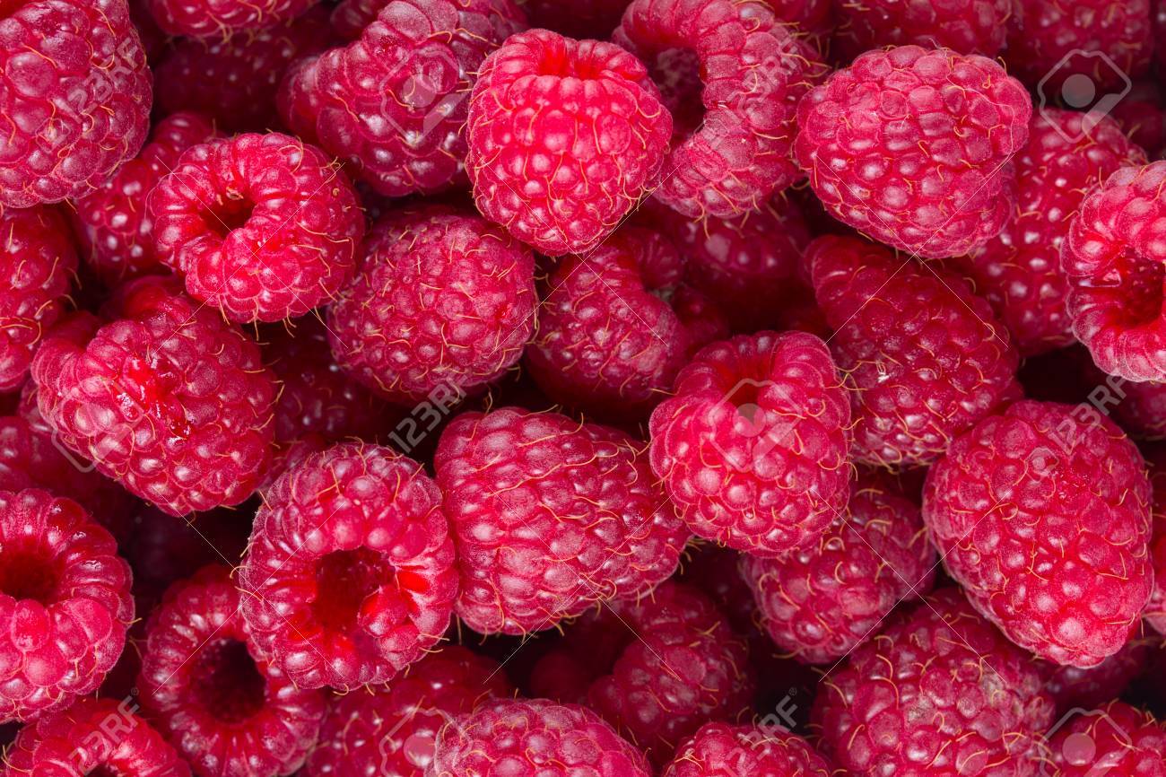 Raspberry Background Stock Photo Picture And Royalty Image