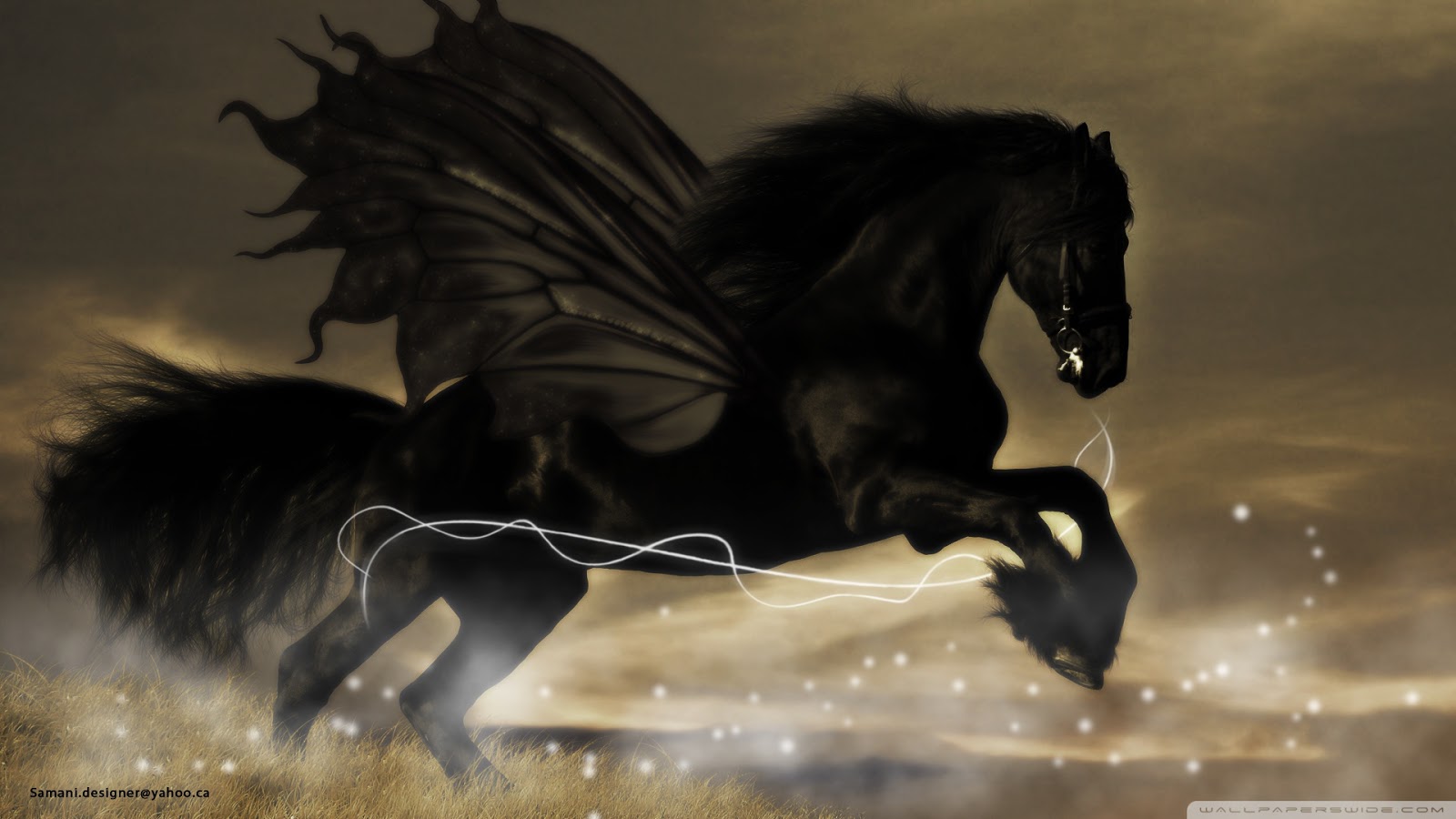 Beautiful Wallpaper Black Horse
