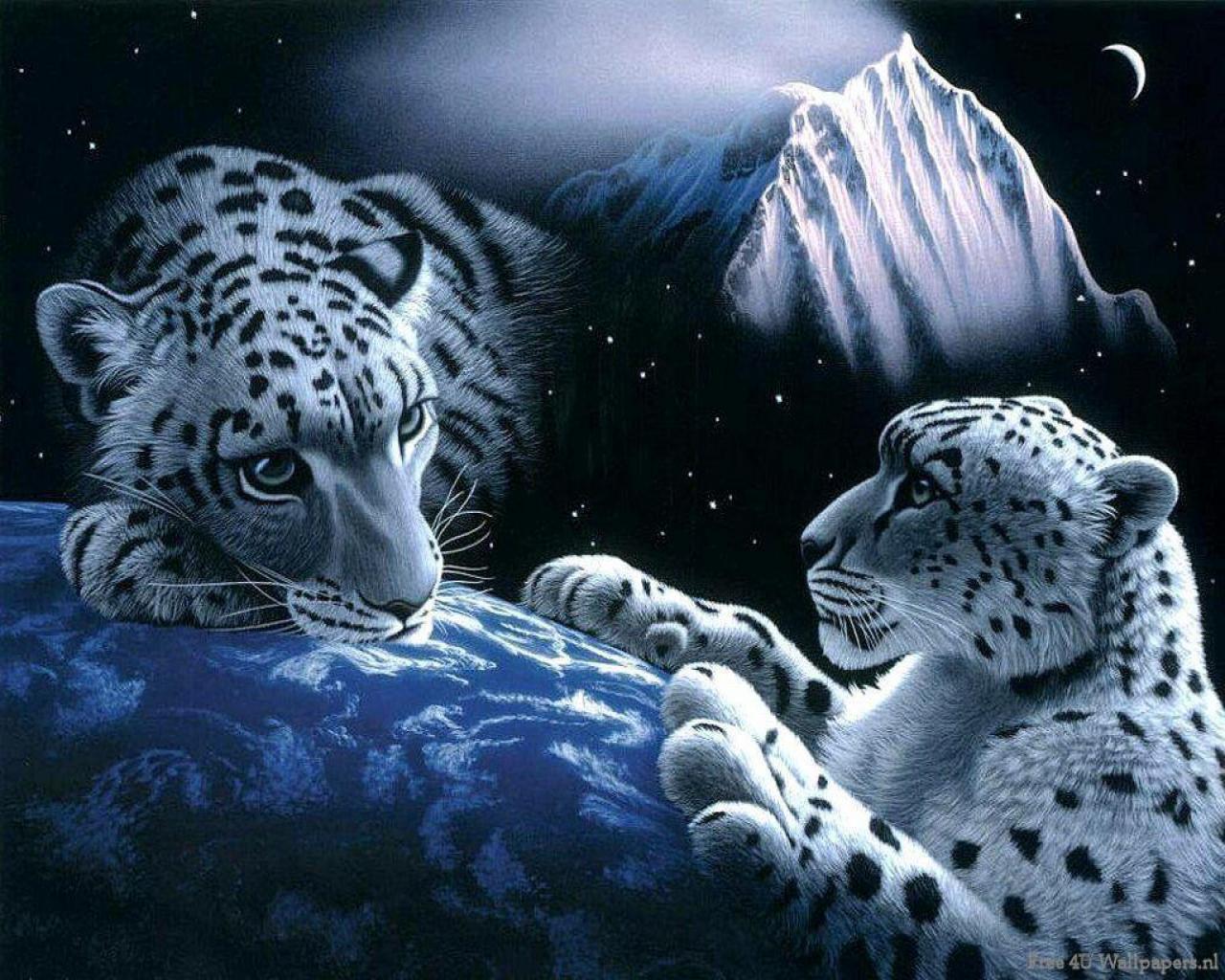 Big Cats Wild Animals Wallpaper