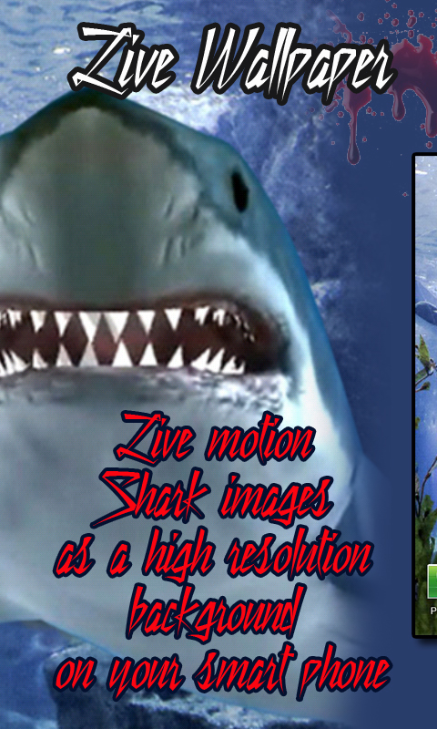 Touch The Shark Live Wallpaper For Your Android Phone