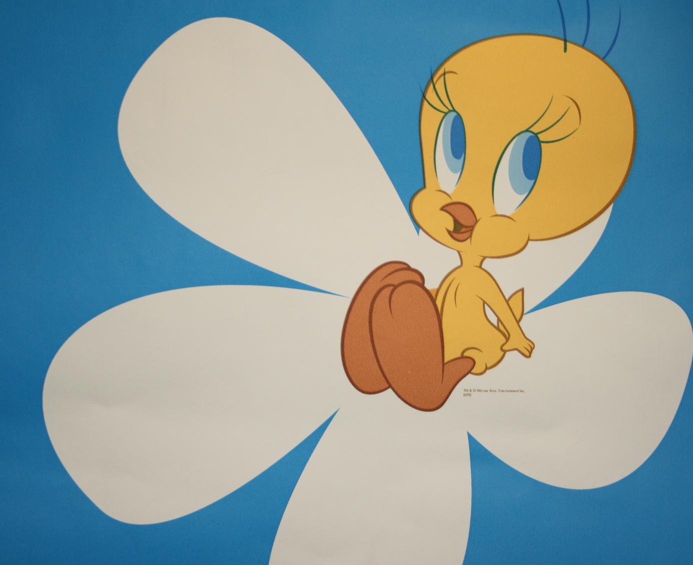 Details About 50x Tweety Pie Chilrdens Room Wallpaper Wall Decorations