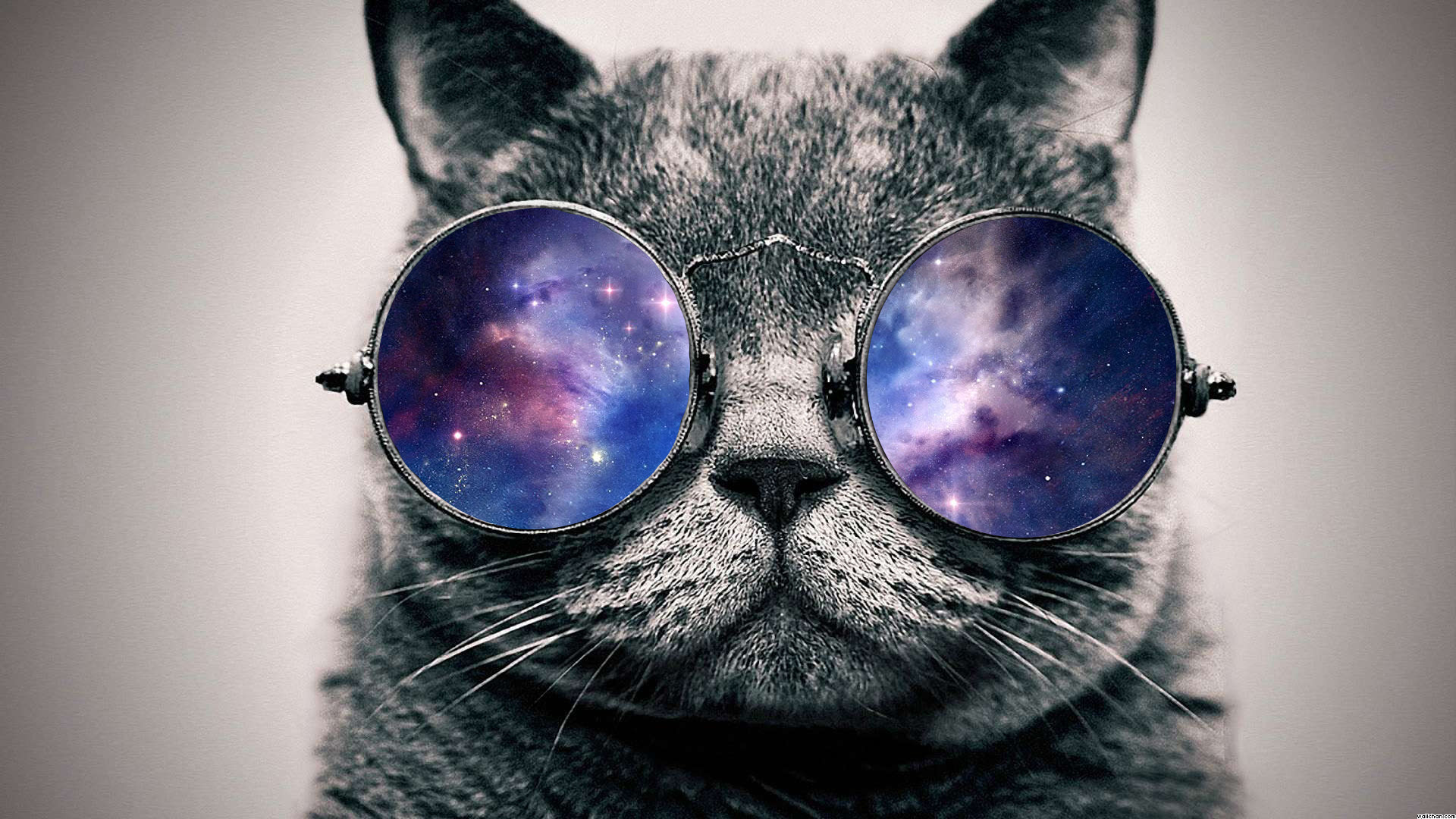 Go Back Image For Hipster Cat Galaxy