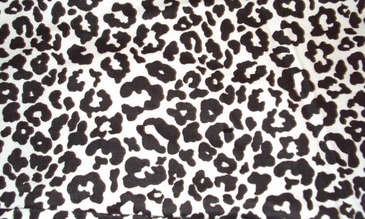 Animal Print Wallpaper For Android By Hanna Appszoom