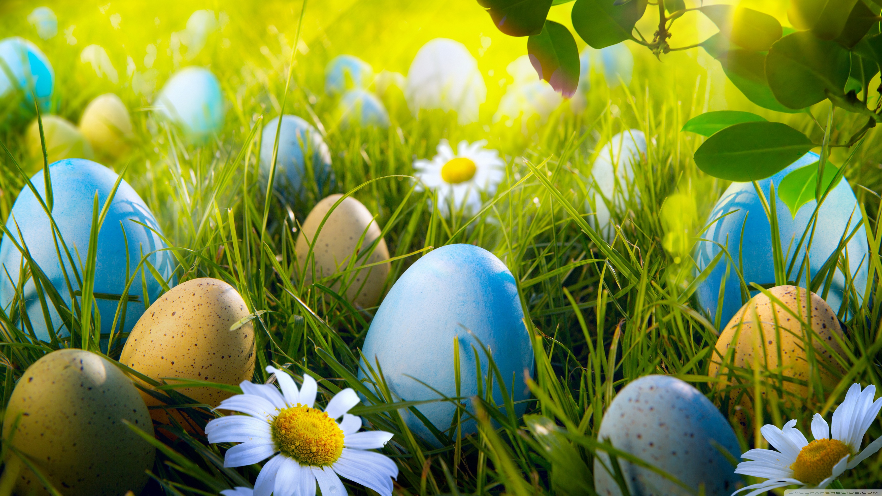 Desktop Wallpaper Easter Eggs Background