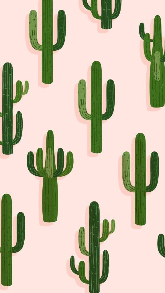 Wallpaper Cactus Cute Patterns iPhone