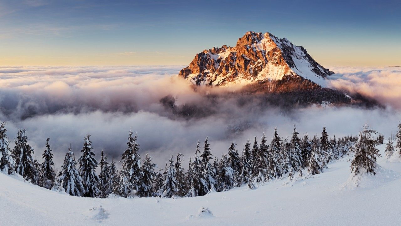 Slovakia Mountains Fog Pines Snow Mountain Wallpaper