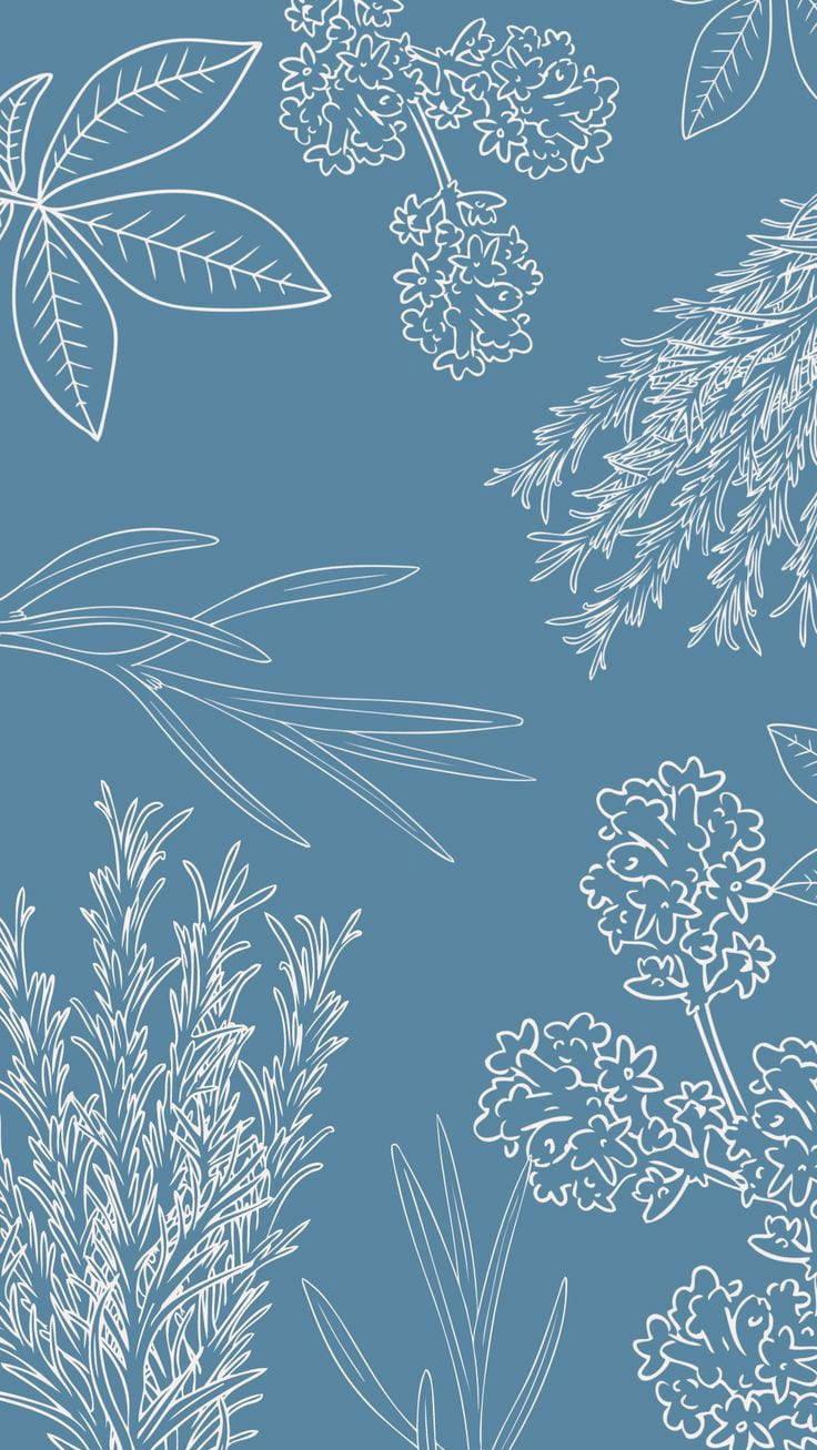 Simple Blue Aesthetic Plant Art Wallpaper