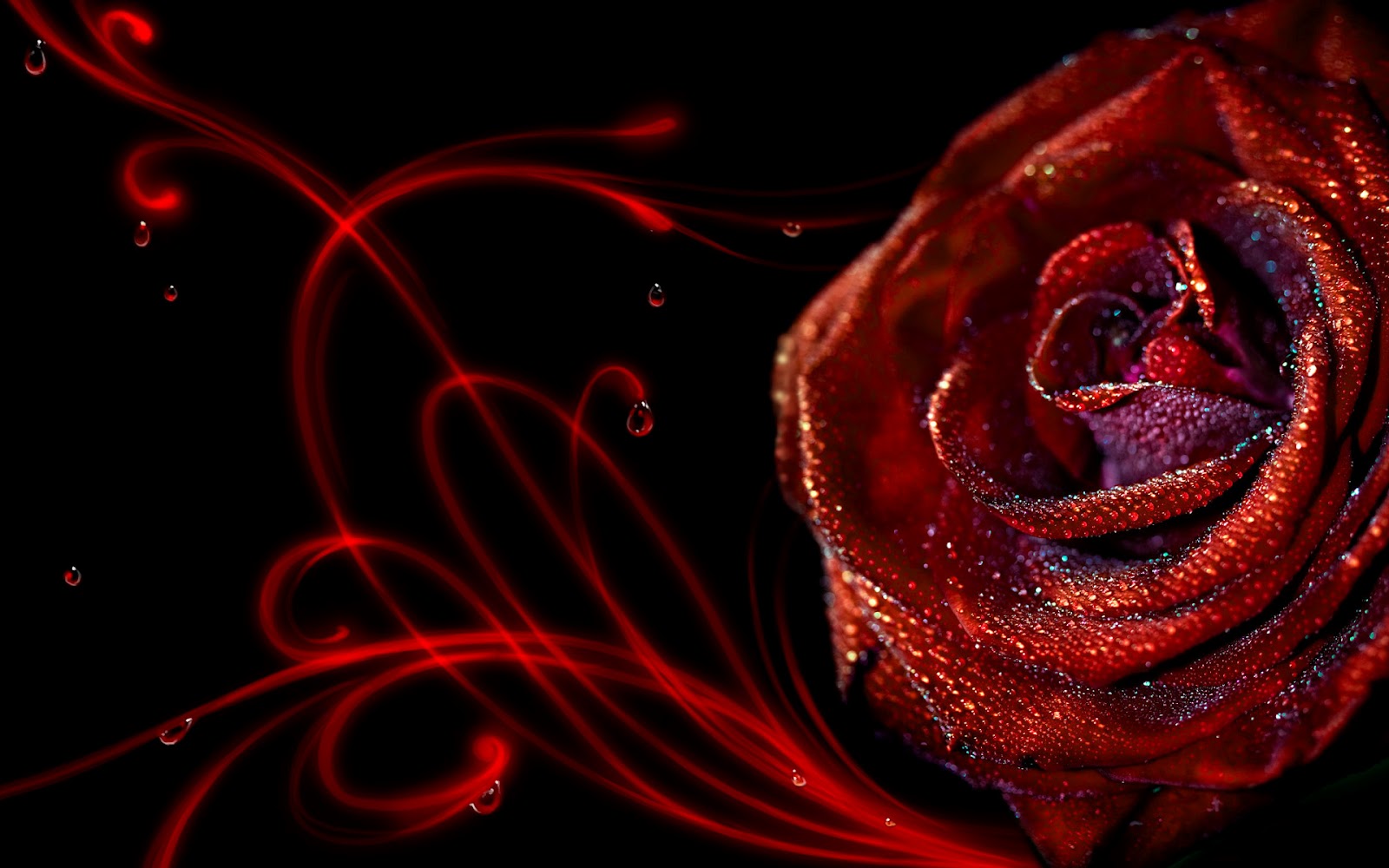 Elegant Red Roses Wallpaper HD