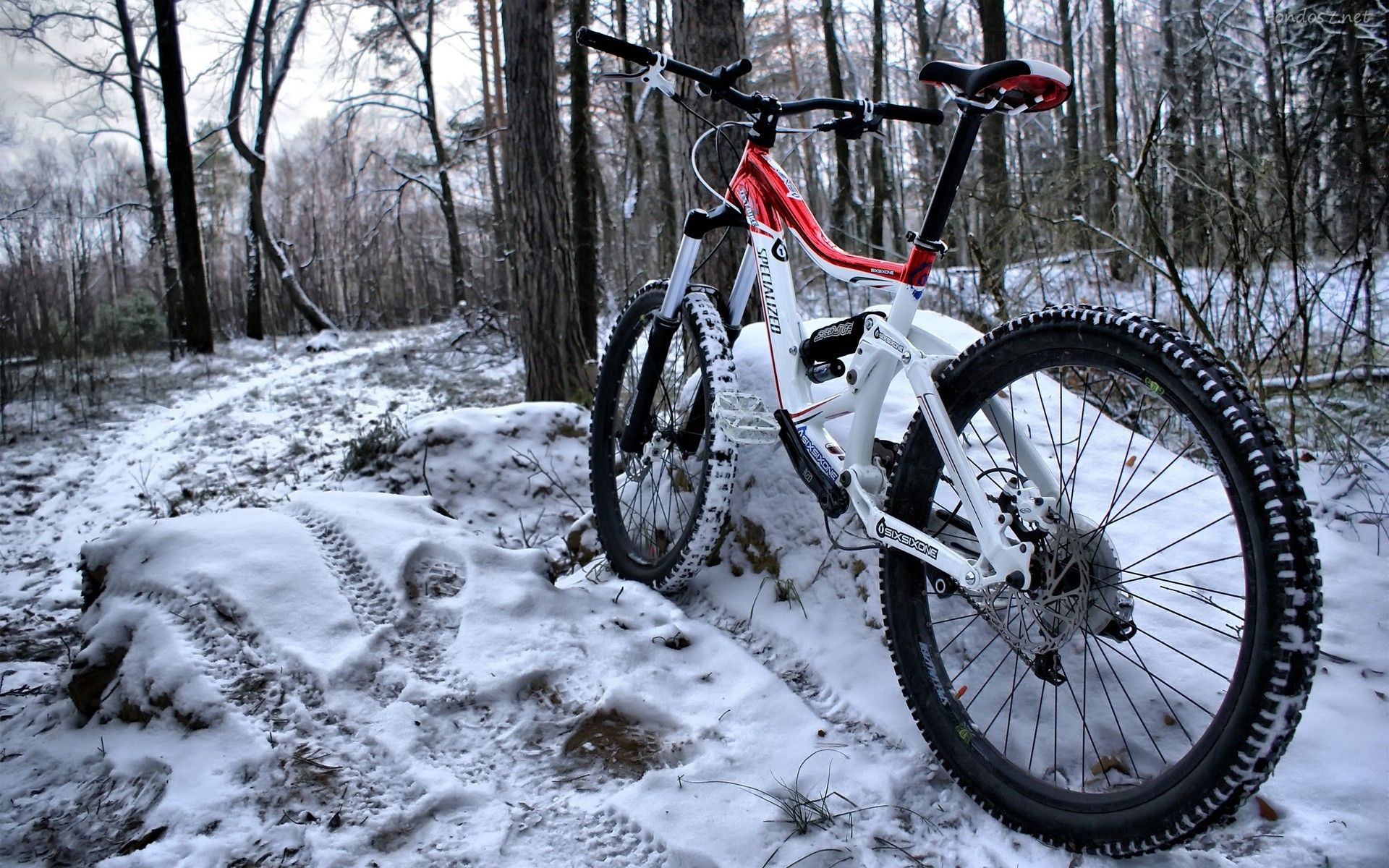 Specialized Mtb Winter Mountain Bike Res Biking