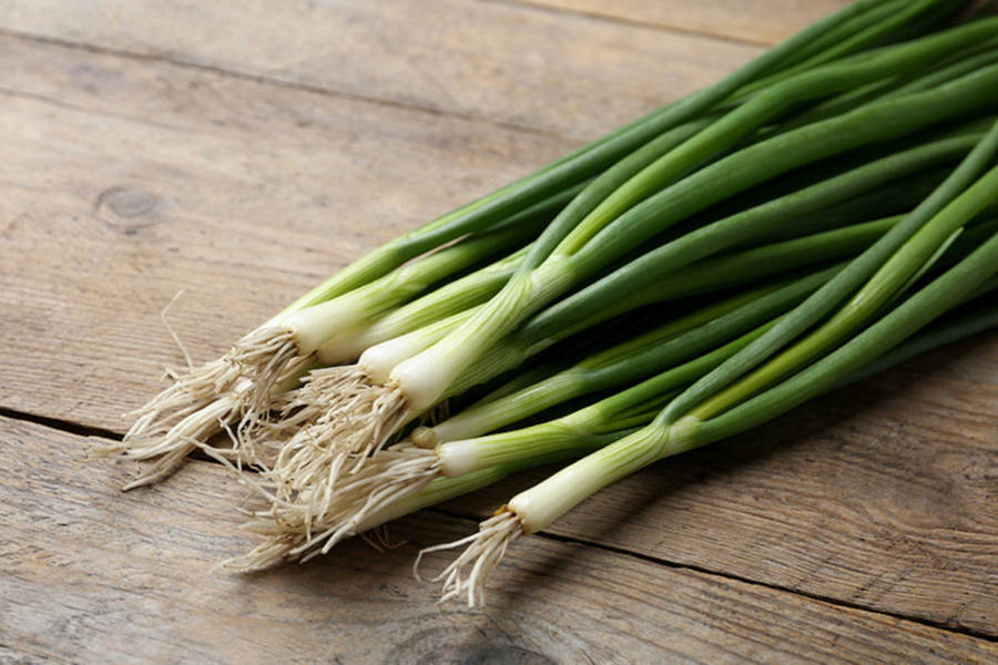 Green Onion Wallpaper