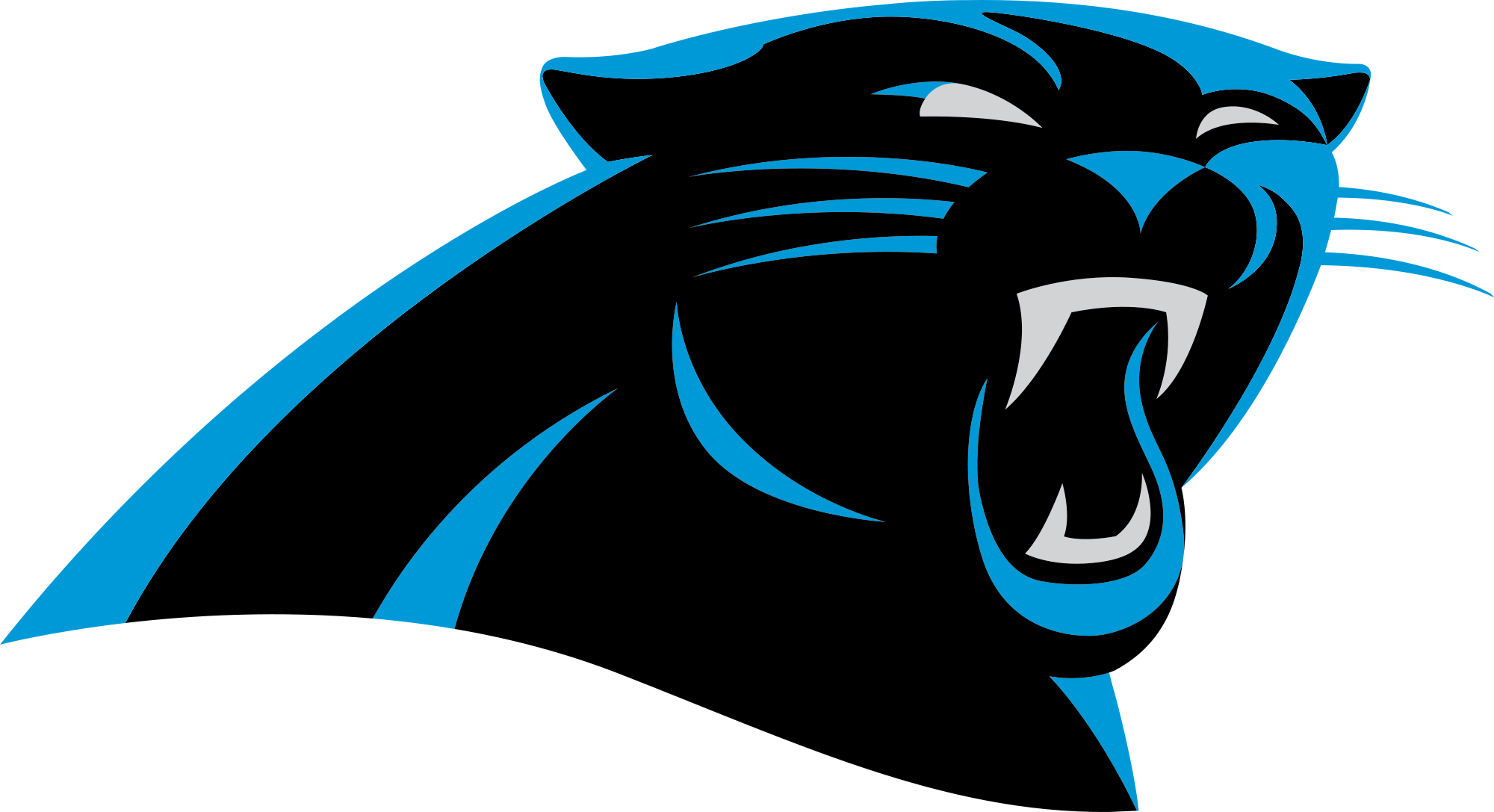 Carolina Panthers Nfl Football D Wallpaper Background
