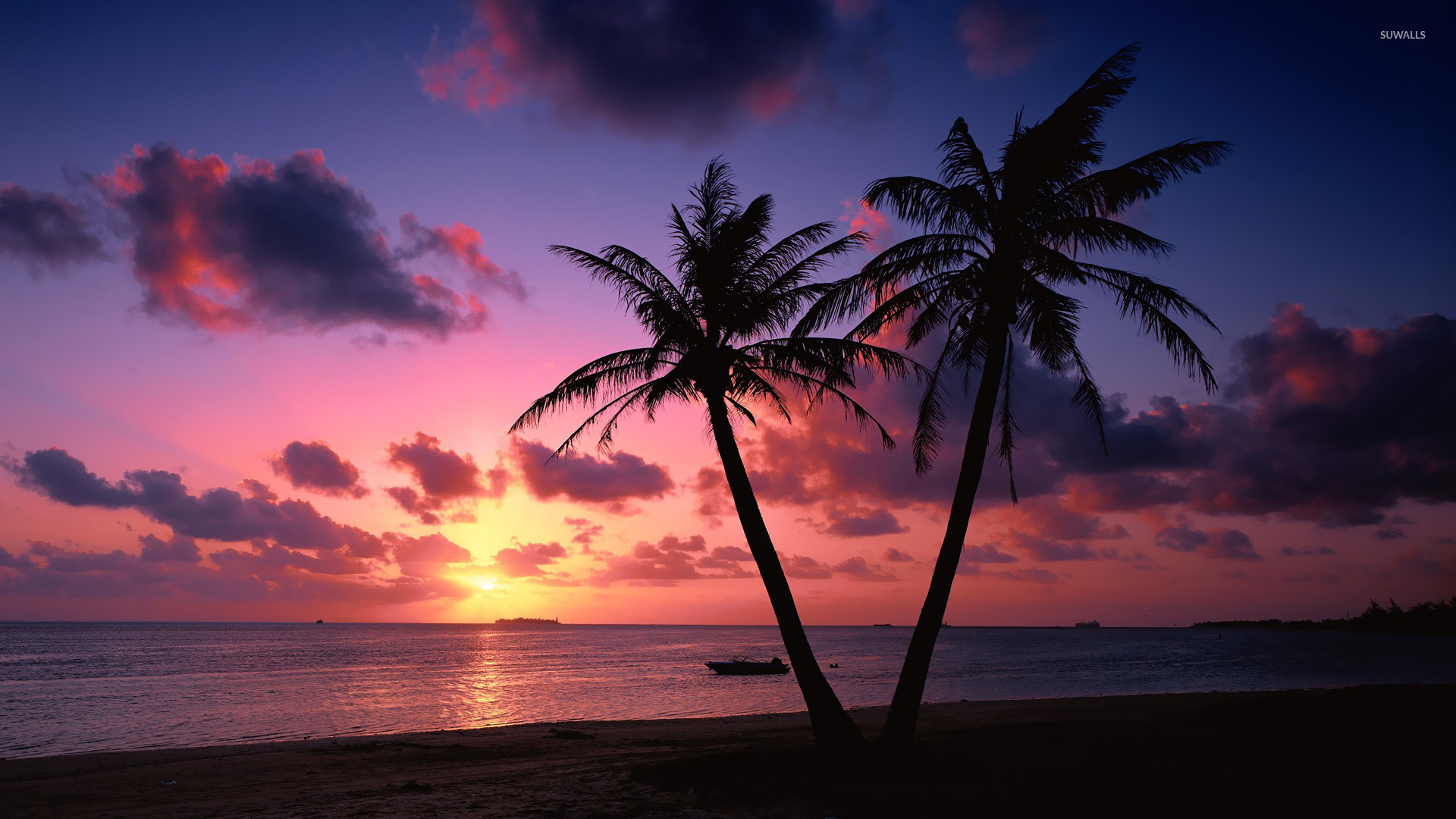 Palm Tree Beaches Wallpaper