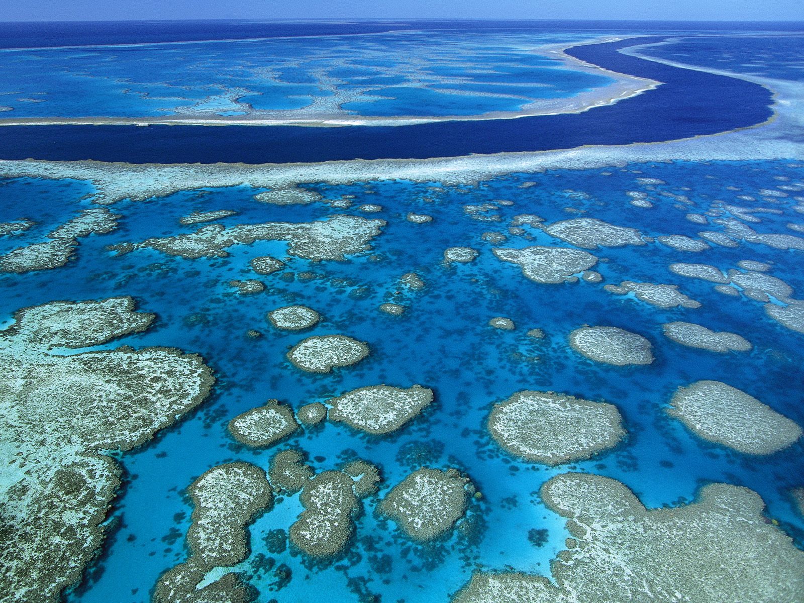 Great Barrier Reef Marine Park Queensland Australia Wallpaper