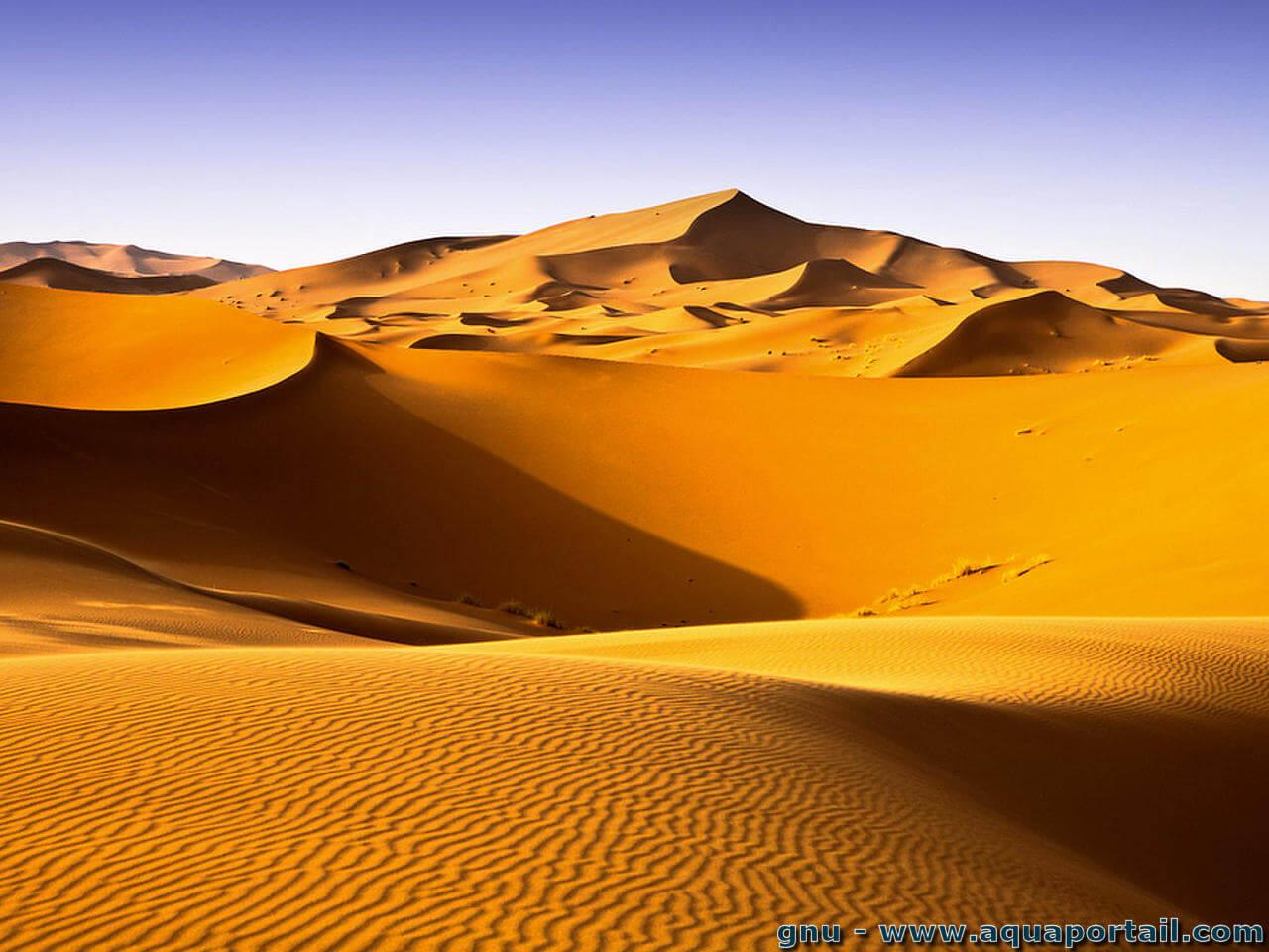 D Sert Wallpaper