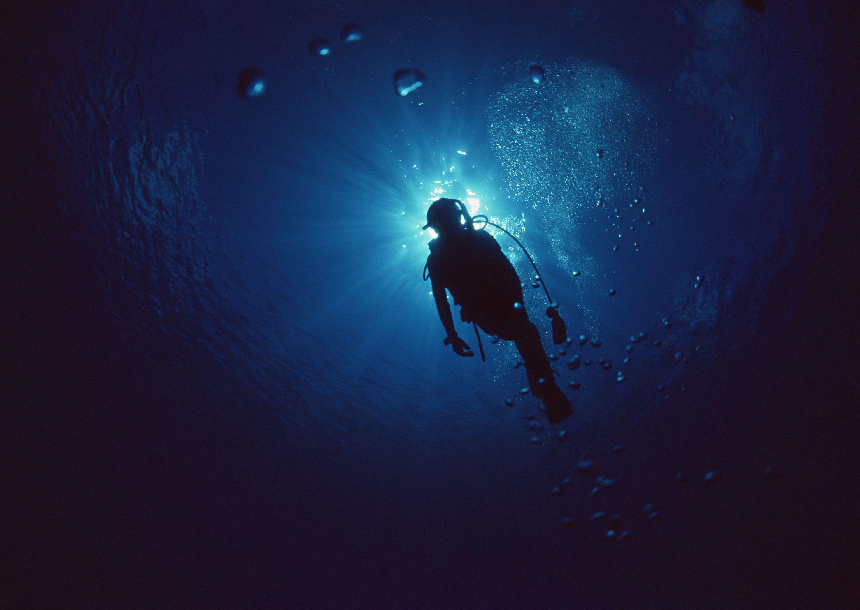 Free Scuba Diving Wallpapers
