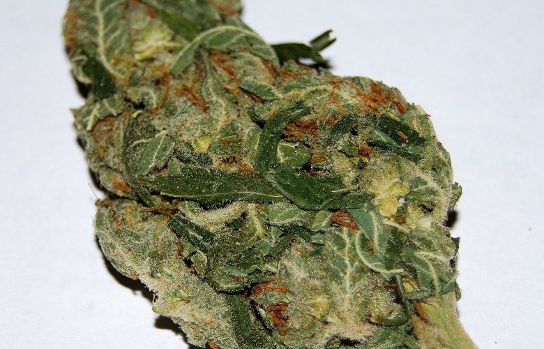 Purple Kush Marijuana Buds HD Weed Wallpaper