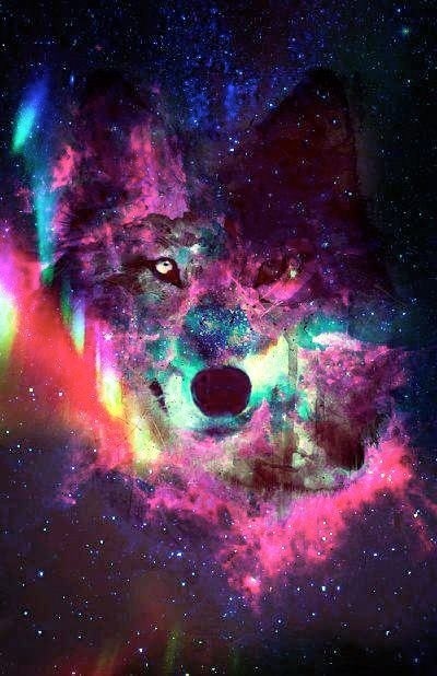 Wolf In Galaxy Background Perty Ain T It